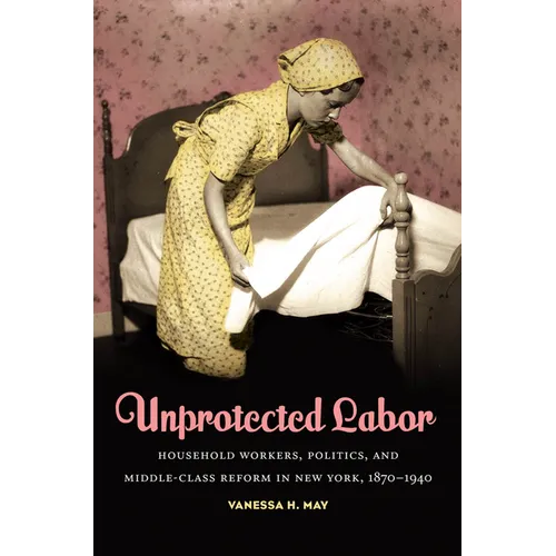 Unprotected Labor: Household Workers, Politics, and Middle-Class Reform in New York, 1870-1940 - Paperback