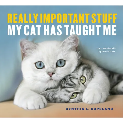 Really Important Stuff My Cat Has Taught Me - Paperback
