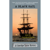 A Black Sail - Paperback