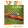 Amphibians of Costa Rica: A Field Guide - Paperback