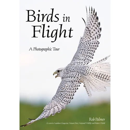 Birds in Flight: A Photographic Essay of Hawks, Ducks, Eagles, Owls, Hummingbirds, & More - Paperback