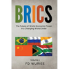 Brics: The Future of World Economic Power in a Changing World Order - Paperback