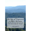 The Edge of Forgiveness on Blue Mountain: Book Two in the Lost in the Adirondacks Series - Paperback