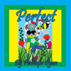 Perfect - Paperback