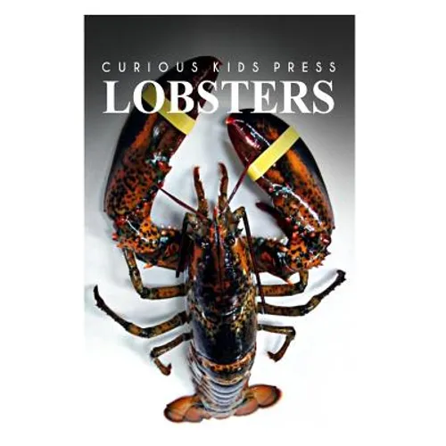 Lobster - Curious Kids Press: Kids book about animals and wildlife, Children's books 4-6 - Paperback