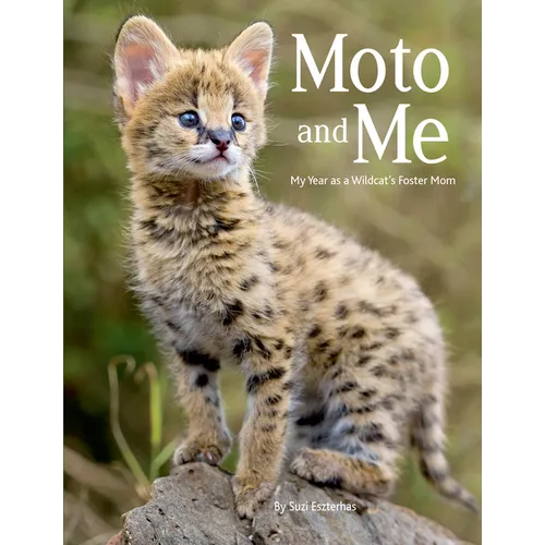 Moto and Me: My Year as a Wildcat's Foster Mom - Paperback