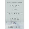 Moon of the Crusted Snow - Paperback