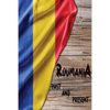 Romania Past and Present: A Piece of Eastern European History - Paperback