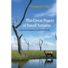 The Great Power of Small Nations: Indigenous Diplomacy in the Gulf South - Paperback