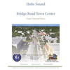 Hobe Sound Bridge Road Town Center: Project Vision and History - Paperback
