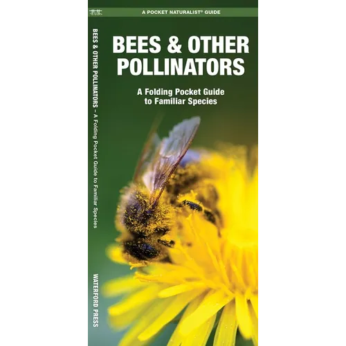 Bees & Other Pollinators: A Folding Pocket Guide to Familiar Species - Paperback