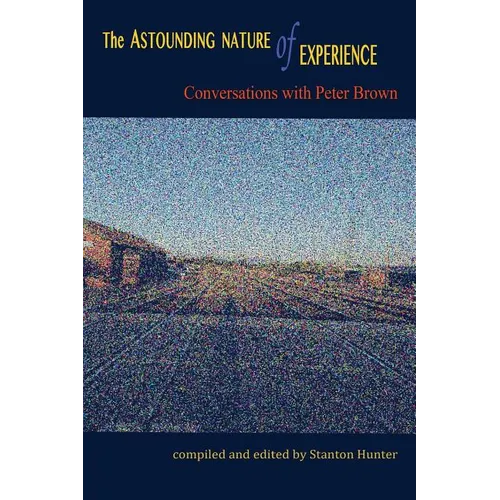 The Astounding Nature of Experience: Conversations with Peter Brown 2010 - 2013 - Paperback