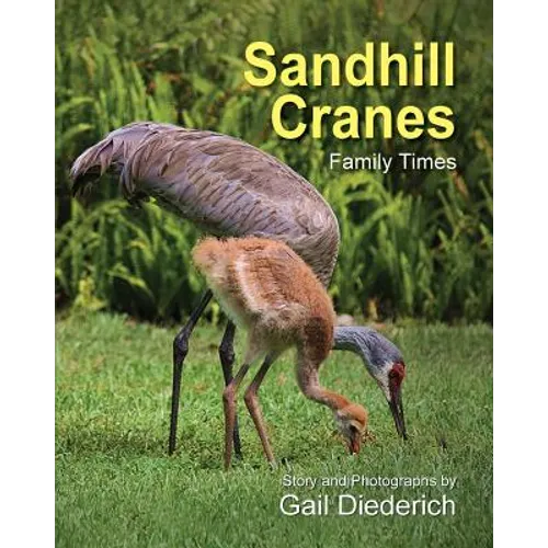 Sandhill Cranes, Family Times - Paperback