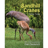 Sandhill Cranes, Family Times - Paperback
