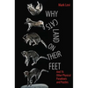 Why Cats Land on Their Feet: And 76 Other Physical Paradoxes and Puzzles - Paperback