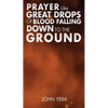 Prayer Like Great Drops Of Blood Falling Down To The Ground - Paperback
