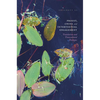 Proust, China and Intertextual Engagement: Translation and Transcultural Dialogue - Hardcover