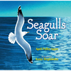 Seagulls Soar - Hardcover