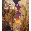 Alison Elizabeth Taylor: The Sum of It - Hardcover