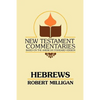 Hebrews: A Commentary on the Epistle to the Hebrews - Paperback