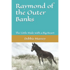 Raymond of the Outer Banks: The Little Mule with a Big Heart - Paperback