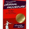 The Illustrated Guide to Criminal Procedure, Vol I: Parts 1-3, Including the Fourth Amendment Flowchart - Paperback
