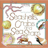 Seashells, Crabs and Sea Stars - Paperback