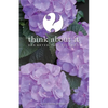 Think About It Volume V: A Collection of Essays - Paperback
