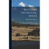 Brigham's Destroying Angel: Being the Life, Confession, and Startling Disclosures of the Notorious Bill Hickman, the Danite Chief of Utah - Hardcover