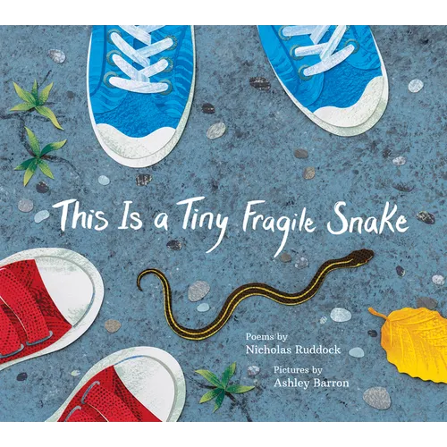 This Is a Tiny Fragile Snake - Hardcover