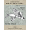 Order Beloniformes: Needlefishes, Sauries, Halfbeaks, and Flyingfishes: Part 10 - Paperback