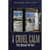 A Cruel Calm: Paris Between the Wars - Paperback