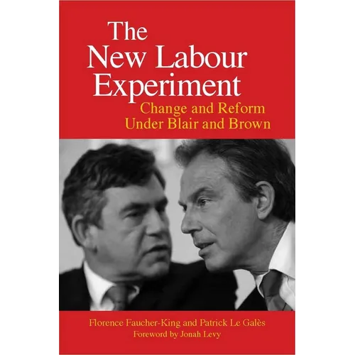 The New Labour Experiment: Change and Reform Under Blair and Brown - Paperback