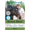 Mystery Horse at Oak Lane Stable - Paperback