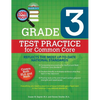 Core Focus Grade 3: Test Practice for Common Core - Paperback