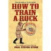 How To Train A Rock - Paperback