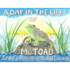 A Day in the Life of Mr. Toad - Paperback