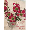 Borrowed Riches - Paperback