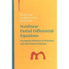 Nonlinear Partial Differential Equations: Asymptotic Behavior of Solutions and Self-Similar Solutions - Hardcover