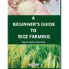 A Beginner's Guide to Rice Farming: How to Start a Rice Farm, Step-by-Step Approach - Paperback