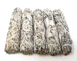 California White Sage 7"L Bundle