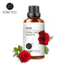 100ML Essential Oils - Webster.direct